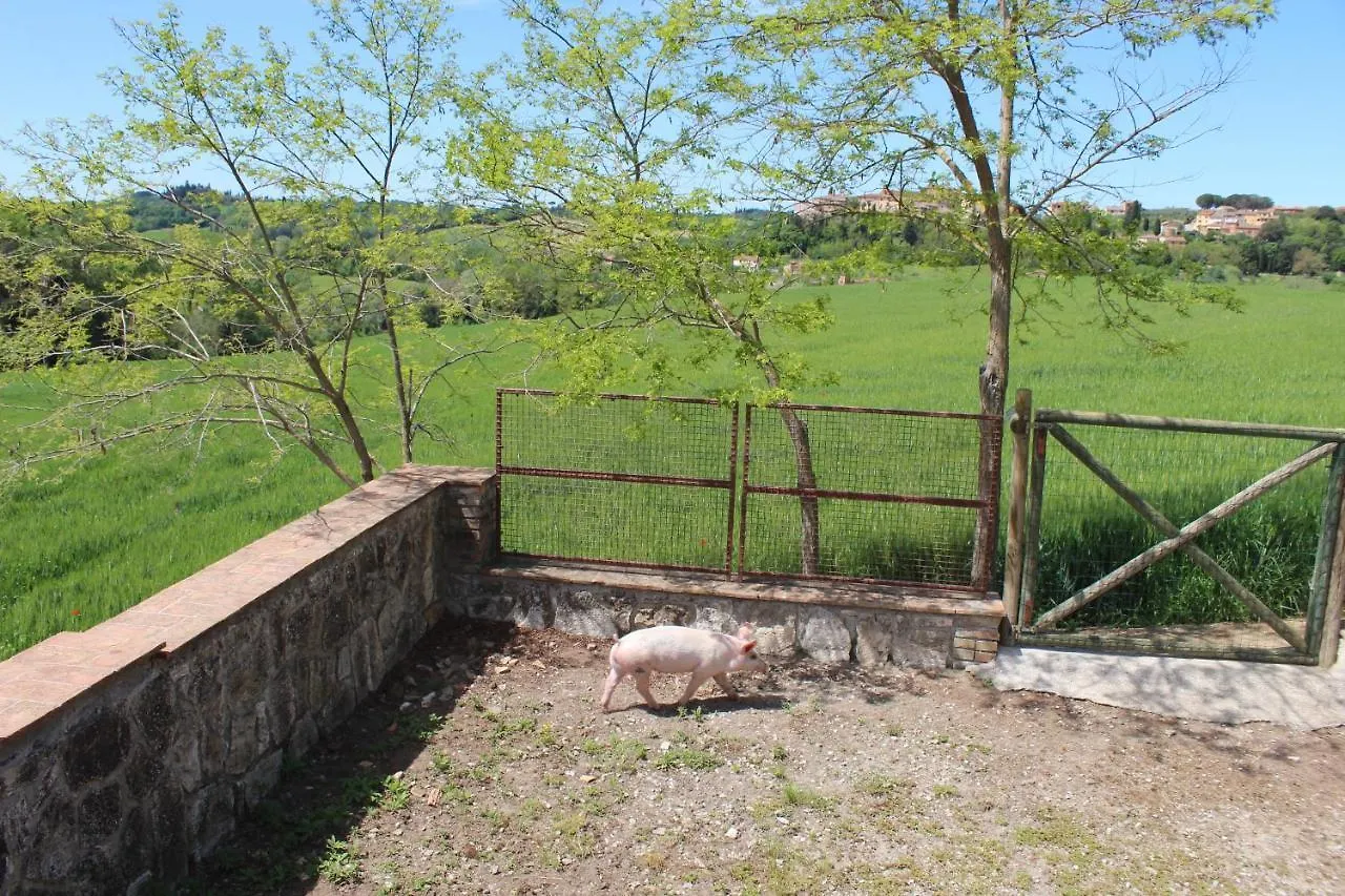Appartamento Casa vacanza Podere Ristoro San Giovanni dʼAsso